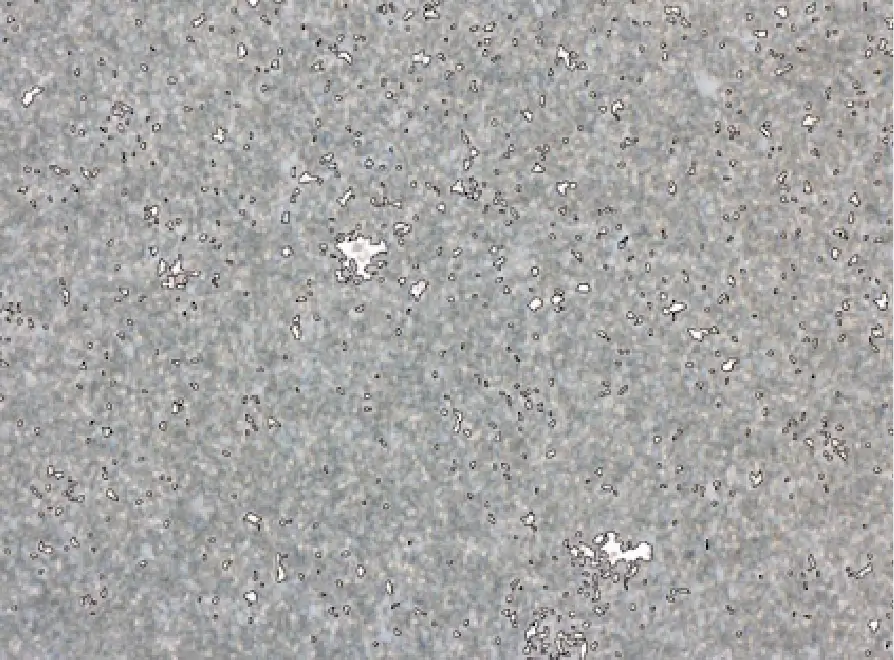 Microstructure of Conventional Powder