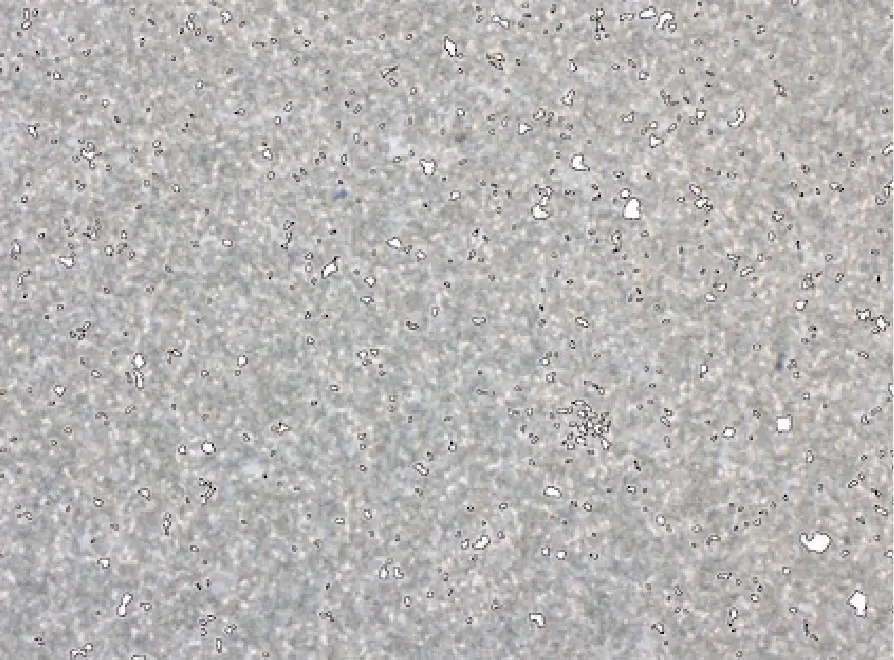 Microstructure of Soft Granulated Powder